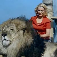 Девушка и лев