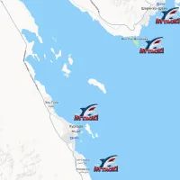 Карта нападений акул