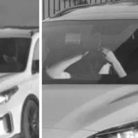 Корги за рулем авто