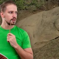 Гусь-камень