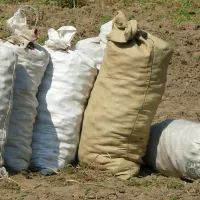 Мешки с картофелем