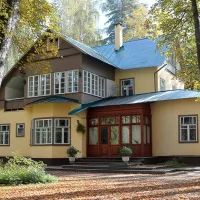 Дача Чуковского в Переделкино, арт