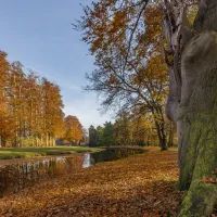 Парк, осень