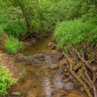 Жуков ручей