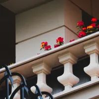 цветы на балконе