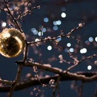 Новогодние игрушки