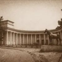 Ветеринария