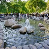 Поющий журавль