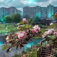 Район, озеро