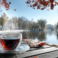 Арт, осень в Москве