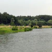 Лебедянский пруд