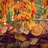 фрукты и овощи