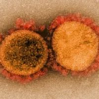 вирус Коксаки