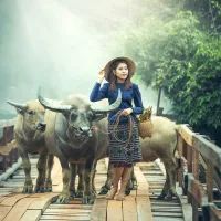 Китай, женщина, мулы