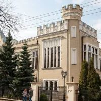 Усадьба Кнопа, арт