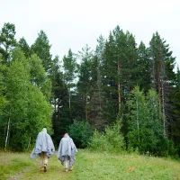 Лес, туристы