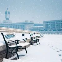 Снег, скамейки