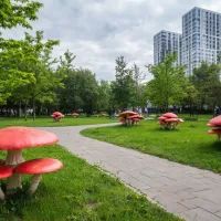 Грибы, Москва