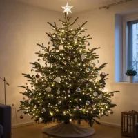 Новогдняя елка