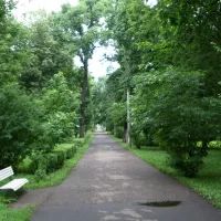 Центральная аллея парка