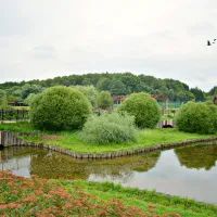 Пруды в Терлецком парке