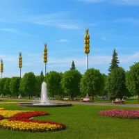 Каштановая аллея 