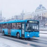 Автобус, Москва