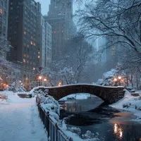 Нью-Йорк зимой, арт