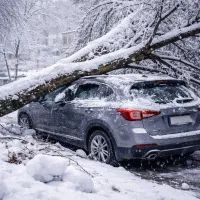 Машина под упавшим деревом зимой