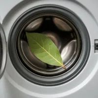 Неожиданный лайфхак: зачем стирать вещи с лавровым листом?