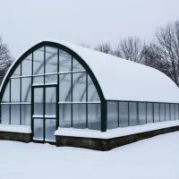 Один снегопад — минус теплица: как я теперь страхуюсь и что советует агроном