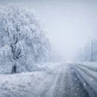 Зимний утренний путь в тумане