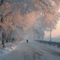 Мороз в Москве, арт