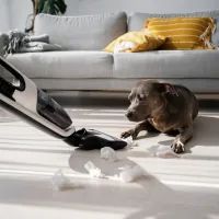 Пылесос, уборка