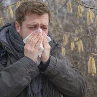 Весенний чих под ткани орешника