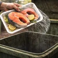 Красная рыба