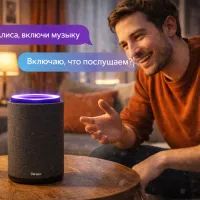 Человек общается с Алисой