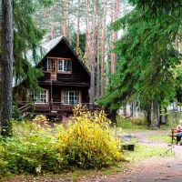 Лес, дом