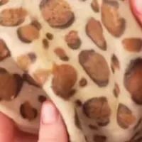 Леопардовый блинчик