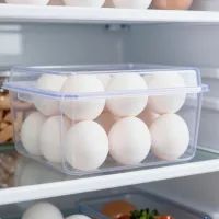 Долго не могла понять, почему яйца портятся — оказалось, я совершала одни и те же ошибки постоянно