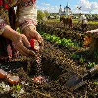 Весеннее благословение на Пасху