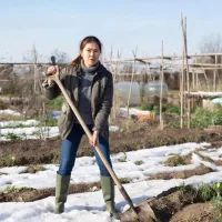 Огород, дача