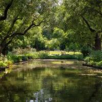 Пруд в парке