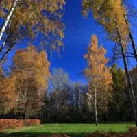 Парк Сокольники