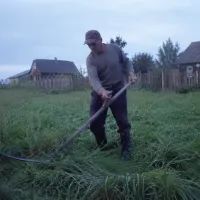 Покос