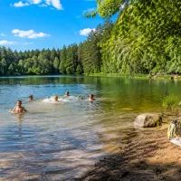 Отдых Подмосковье