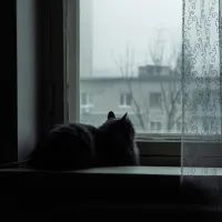 Окно
