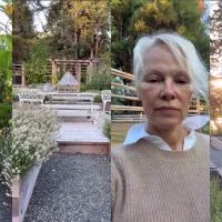 Сад Памелы Андерсон