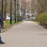 Собаки