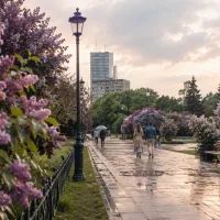 Город